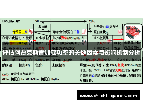 评估阿贾克斯青训成功率的关键因素与影响机制分析